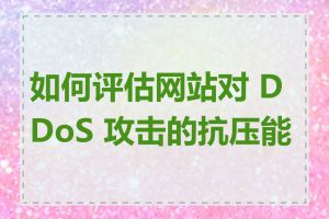 如何评估网站对 DDoS 攻击的抗压能力