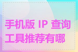 手机版 IP 查询工具推荐有哪些