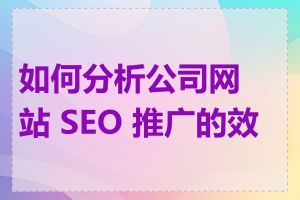 如何分析公司网站 SEO 推广的效果