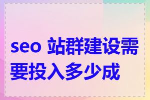 seo 站群建设需要投入多少成本