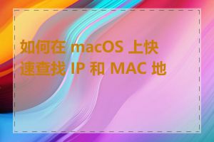 如何在 macOS 上快速查找 IP 和 MAC 地址