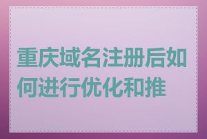 重庆域名注册后如何进行优化和推广