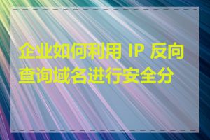 企业如何利用 IP 反向查询域名进行安全分析