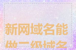 新网域名能做二级域名吗