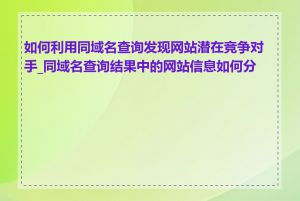 如何利用同域名查询发现网站潜在竞争对手_同域名查询结果中的网站信息如何分析