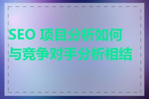 SEO 项目分析如何与竞争对手分析相结合