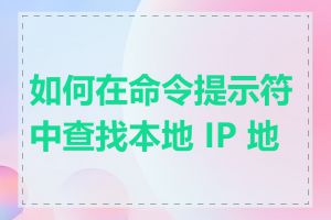 如何在命令提示符中查找本地 IP 地址