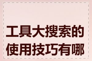工具大搜索的使用技巧有哪些