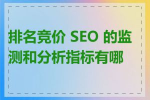 排名竞价 SEO 的监测和分析指标有哪些