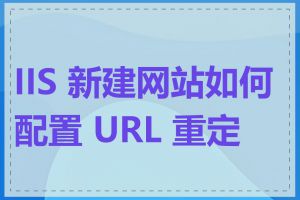 IIS 新建网站如何配置 URL 重定向