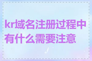 kr域名注册过程中有什么需要注意的
