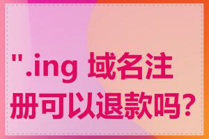 ".ing 域名注册可以退款吗？"