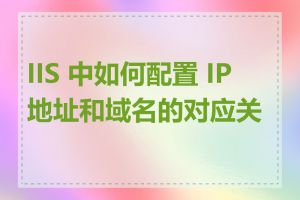 IIS 中如何配置 IP 地址和域名的对应关系