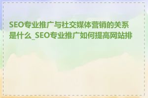 SEO专业推广与社交媒体营销的关系是什么_SEO专业推广如何提高网站排名