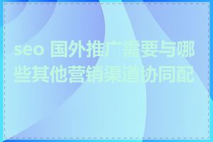 seo 国外推广需要与哪些其他营销渠道协同配合