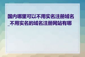 国内哪里可以不用实名注册域名_不用实名的域名注册网站有哪些