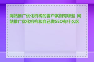 网站推广优化机构的客户案例有哪些_网站推广优化机构和自己做SEO有什么区别
