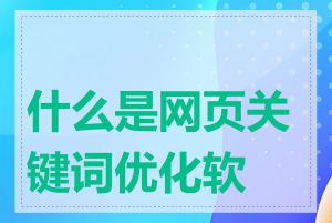 什么是网页关键词优化软件