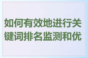 如何有效地进行关键词排名监测和优化