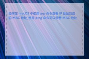 如何在 macOS 中使用 arp 命令查看 IP 地址对应的 MAC 地址_使用 ping 命令可以查看 MAC 地址吗