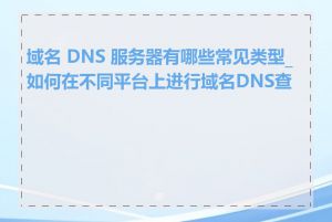 域名 DNS 服务器有哪些常见类型_如何在不同平台上进行域名DNS查询