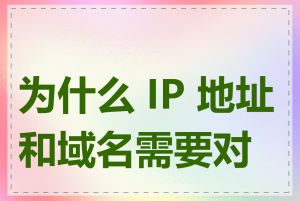 为什么 IP 地址和域名需要对应