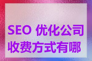 SEO 优化公司收费方式有哪些
