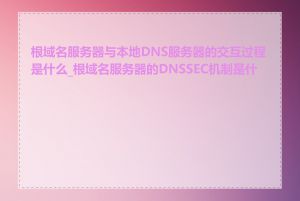 根域名服务器与本地DNS服务器的交互过程是什么_根域名服务器的DNSSEC机制是什么