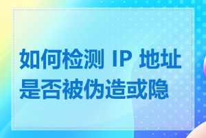 如何检测 IP 地址是否被伪造或隐藏