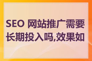 SEO 网站推广需要长期投入吗,效果如何
