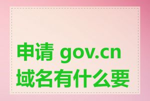 申请 gov.cn 域名有什么要求