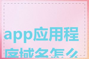 app应用程序域名怎么查