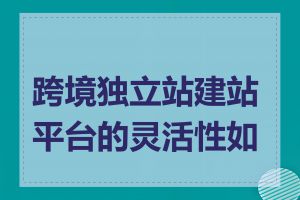 跨境独立站建站平台的灵活性如何