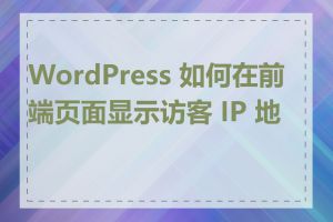 WordPress 如何在前端页面显示访客 IP 地址