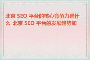 北京 SEO 平台的核心竞争力是什么_北京 SEO 平台的发展趋势如何