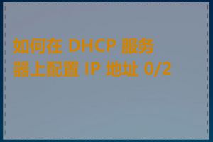 如何在 DHCP 服务器上配置 IP 地址 0/24
