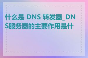 什么是 DNS 转发器_DNS服务器的主要作用是什么