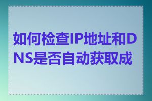 如何检查IP地址和DNS是否自动获取成功