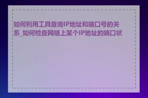 如何利用工具查询IP地址和端口号的关系_如何检查网络上某个IP地址的端口状态