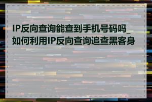 IP反向查询能查到手机号码吗_如何利用IP反向查询追查黑客身份