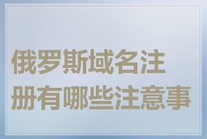 俄罗斯域名注册有哪些注意事项