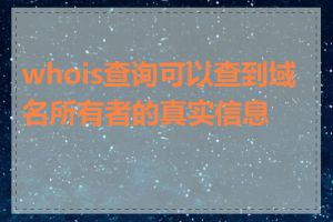 whois查询可以查到域名所有者的真实信息吗