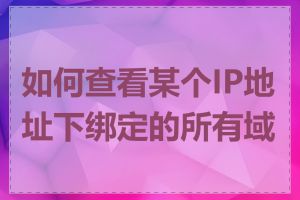 如何查看某个IP地址下绑定的所有域名
