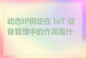 动态IP绑定在 IoT 设备管理中的作用是什么