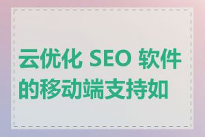云优化 SEO 软件的移动端支持如何
