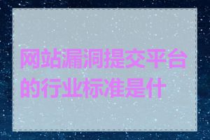 网站漏洞提交平台的行业标准是什么