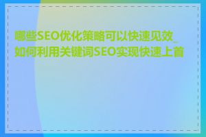 哪些SEO优化策略可以快速见效_如何利用关键词SEO实现快速上首页
