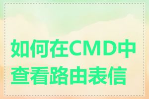 如何在CMD中查看路由表信息