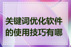 关键词优化软件的使用技巧有哪些