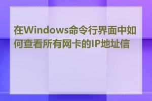 在Windows命令行界面中如何查看所有网卡的IP地址信息